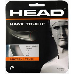 HAWK Touch 281204 Anthracite 17 [硬式テニス ストリング ガット]