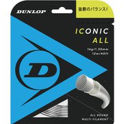 アイコニック オール ICONIC ALL DST31001 ナチュラル 1.30mm [硬式テニス ストリング]