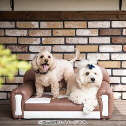 【美品】THI THI PET ティティペット キャンティ 高級ペットソファ 美品】THI THI PET キャンティ 高級ペットソファ セミオーダー