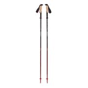 パーシュートFLZ BD82502 ブラック/オクタン M/L(125-140cm) 2本セット [トレッキングポール 形状I型 折りたたみ式]