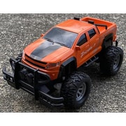 PICK-UP SUV TRUCK OR