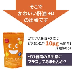 ヨドバシ.com - マエダ薬品 かわいい肝油プラスD 250g （約240粒