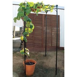 くだもの棚セット KT-S W90cm×D120cm×H210cm