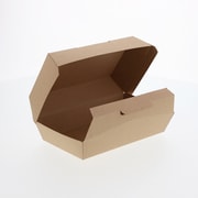 4248009 [HEIKO ネオクラフト ランチボックス M]