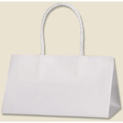 HEIKO 手提げ紙袋 Pスムースバッグ 白無地 25-15 25枚入 3155375