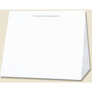 HEIKO 手提げ紙袋 T型チャームバッグ 晒白無地 W3 10枚入 3160800
