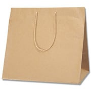 HEIKO 手提げ紙袋 アレンジバッグ 未晒無地 L 10枚入 6441110