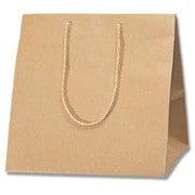 HEIKO 手提げ紙袋 アレンジバッグ 未晒無地 M 10枚入 6441120