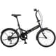 折りたたみ自転車 リアーノFDB206 20インチ 外装6段変速 前後泥よけ 標準装備 マットブラック YG-1454