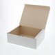 HEIKO 食品箱 洋生 白 E ケーキ10個用 4230400