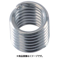 フェルケル インサートねじ（タングレス） M6×1.0mm 2D （100個入り） 9409
