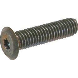 TRUSCO ヘックスローブ超極低頭ねじ ステンレス ブロンズ M2.6×12 10本入 B186-2612