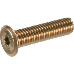 TRUSCO ヘックスローブ超極低頭ねじ ステンレス ライトブロンズ M3×10 10本入 B187-0310