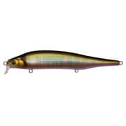 ITO SHINER SSR 和銀オイカワ