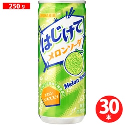 はじけてメロンソーダ 250g×30本