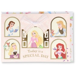 誕生日カード ディズニー プリンセスたちからお祝い 2 EAR-816-759