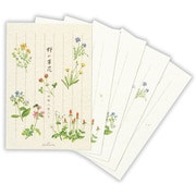 葉書箋 野の草花 2 ECD-819-859