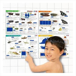 浴室玩具 こたえがでてくる！おふろでスタディ！学研の図鑑LIVE 昆虫