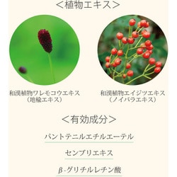 ヨドバシ.com - ジョジュレッド Jo-Ju RED SHIKJR0005