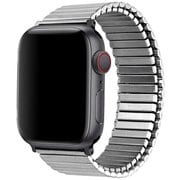 TF21SV40L [メタルストレッチバンド Lサイズ Apple Watch 41/40/38mm シルバー]