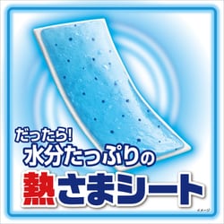ヨドバシ.com - 小林製薬 熱さまシート 熱さまシート 子供用