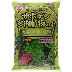 サボテン多肉植物の土 ステビア 2L