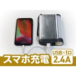 ヨドバシ.com - 大自工業 Meltec メルテック リチウムポリマー