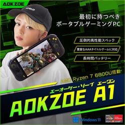 ヨドバシ.com - エーオーケー・ゾーイ AOKZOE AOKZOEA1-1R [ポータブル