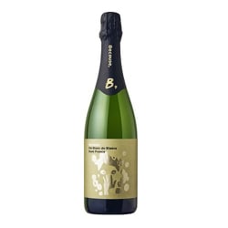 ビコーズ/アイム ブラン・ド・ブラン フロム フランス 750ml フランス/南仏 [スパークリングワイン]