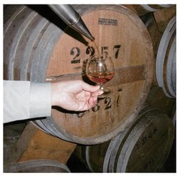 ブランデーコレクション フラパン ブランデー コニャック フラパンVIP XO 40度 正規 箱付