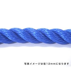 ヨドバシ.com - グリーンクロス 6300040550 [ポリエチレンロープ 青