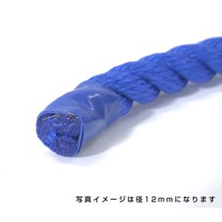 ヨドバシ.com - グリーンクロス 6300040550 [ポリエチレンロープ 青