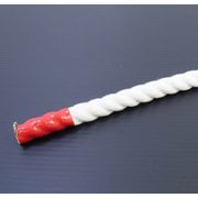 6300005369 [クレモナSロープ 100m巻 14mm]
