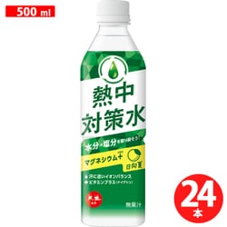 熱中対策水日向夏味 500ml×24本