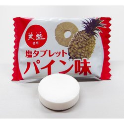 ヨドバシ.com - 赤穂化成 灼熱対策塩タブレット 500g 通販【全品無料配達】