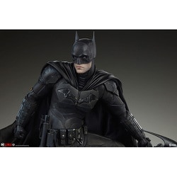 ヨドバシ.com - サイドショウ プレミアム・フォーマット