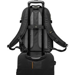 ヨドバシ.com - Lowepro ロープロ LP37237-PWW [トラッキー BP 250