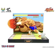 ストリートファイター T.N.C-10 サガット [塗装済完成品フィギュア 全高約170mm ノンスケール]