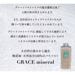 ヨドバシ.com - アレン GRACE mineral グレースミネラル 無添加