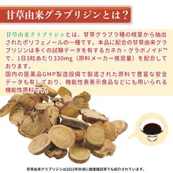 石垣食品 ライフバランサーゾーン乳酸菌 IG1 生菌 ISHIGAKI 30粒