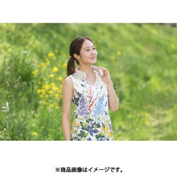 ELAiCE エレス IF-COIC23BG [充電式冷却プレート - ヨドバシ.com