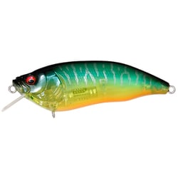 IXI FURIOUS 1.5 クリアホットタイガー