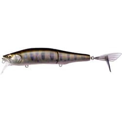 GORHAM 147F FA アマゴ