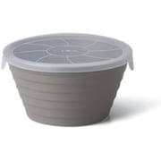 T-938980 [保存容器 抗菌 520ml デリボックス L グレー]