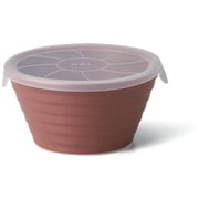 T-939000 [保存容器 抗菌 520ml デリボックス L レッド]
