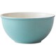 BOWL WITH LID S 超軽量ボウル 260ml 電子レンジ 食洗機対応 ターコイズブルー T-943441