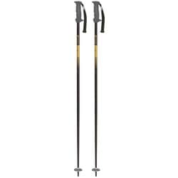 イーグル 304162 BK＋ORG 110cm 2本セット [スキー ストック]