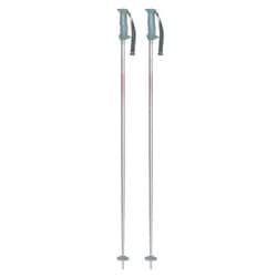イーグル 304180 PK 100cm 2本セット [スキー ストック]