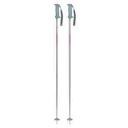 イーグル 304181 PK 105cm 2本セット [スキー ストック]