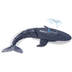 青いクジラ 青いクジラは沈まない - これからミステリー | マーダー
